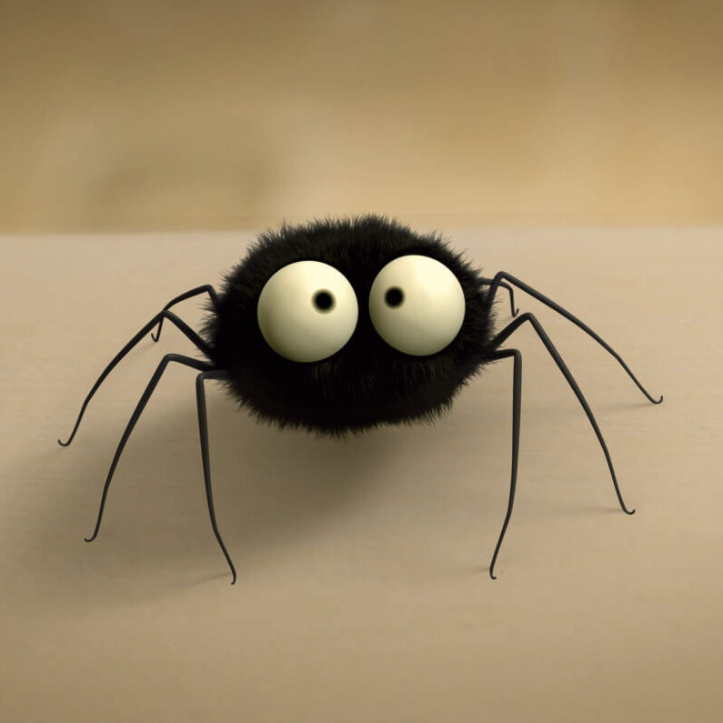 Jumping Spider